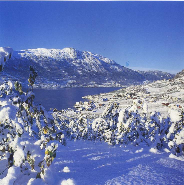 Lofthus Winter 1 - Øystein Klakegg.JPG