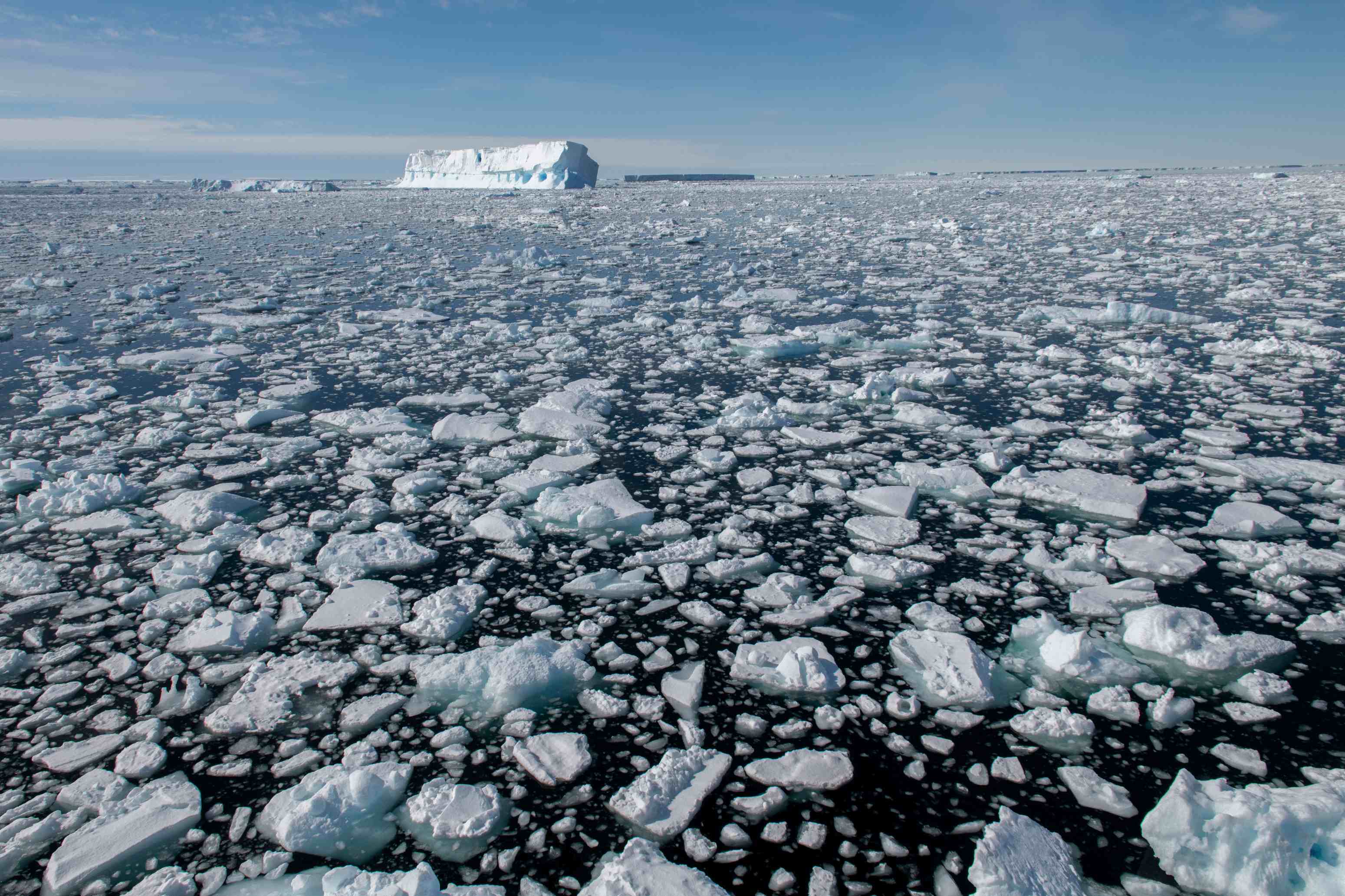 028_CC160123_Antarctica_Bellingshausen-Sea©Cindy Miller Hopkins_PONANT_Photo-Ambassador.jpg