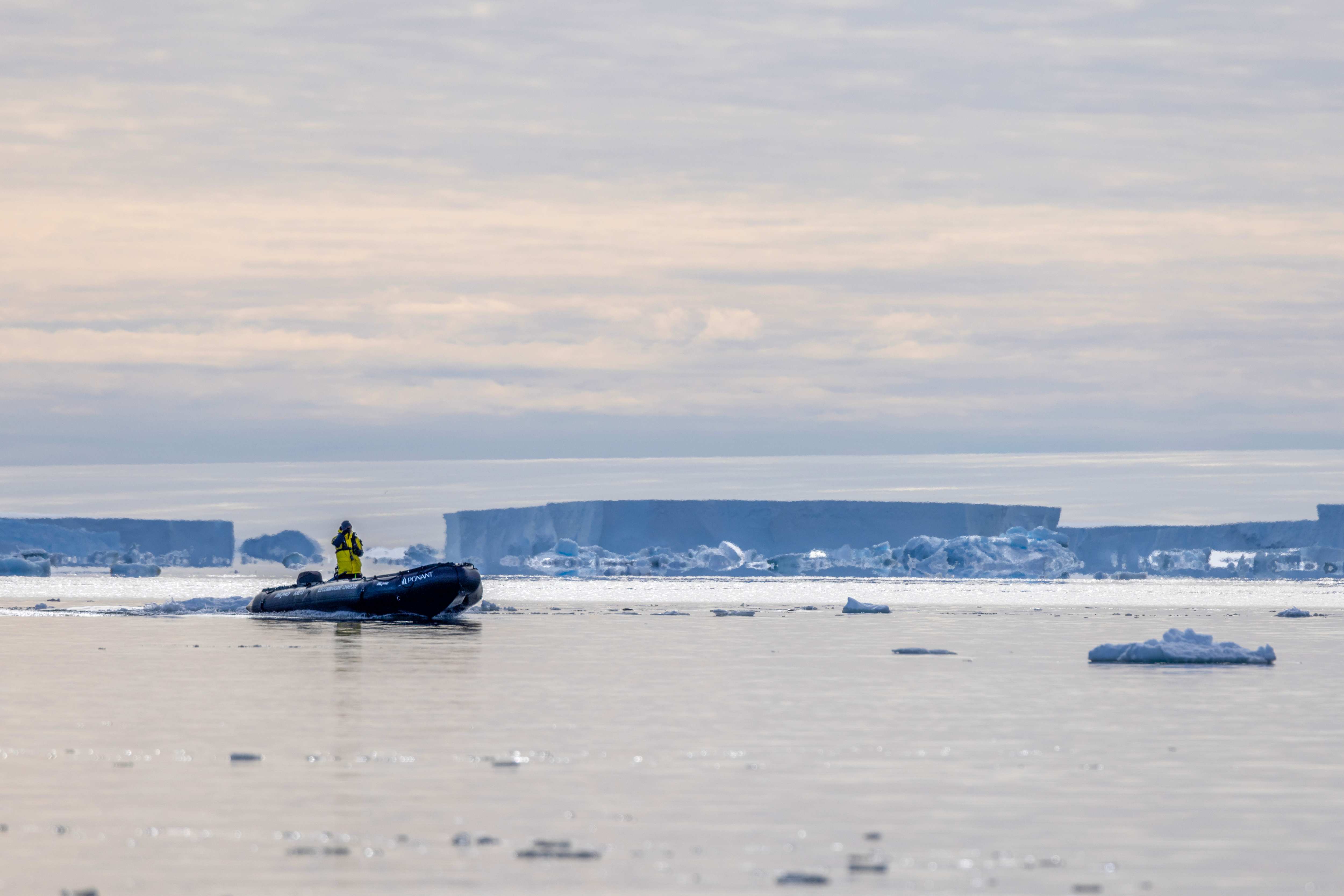 43 _26_CC160123_Antarctica_Bellingshausen-Sea_Carroll-Inlet_Zodiac -travelling-to-ice-edge-©PONANT-P.jpg