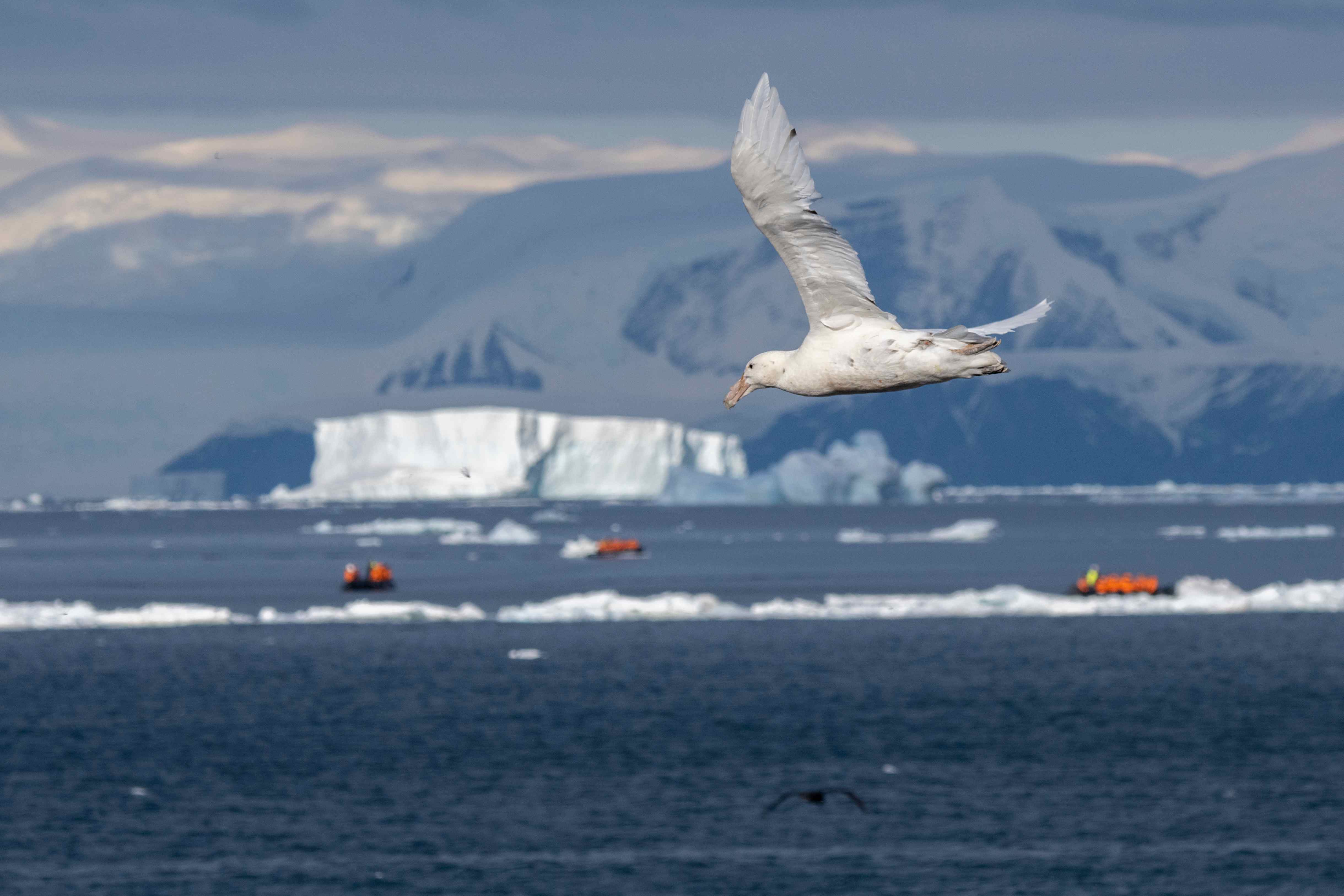 129_CC160123_Antarctica_Ross-Sea_Cape-Adare©Cindy Miller Hopkins_PONANT_Photo-Ambassador.jpg 129_CC160123_Antarctica_Ross-Sea_Cape-Adare©Cindy Miller Hopkins_PONANT_Photo-Ambassador.jpg