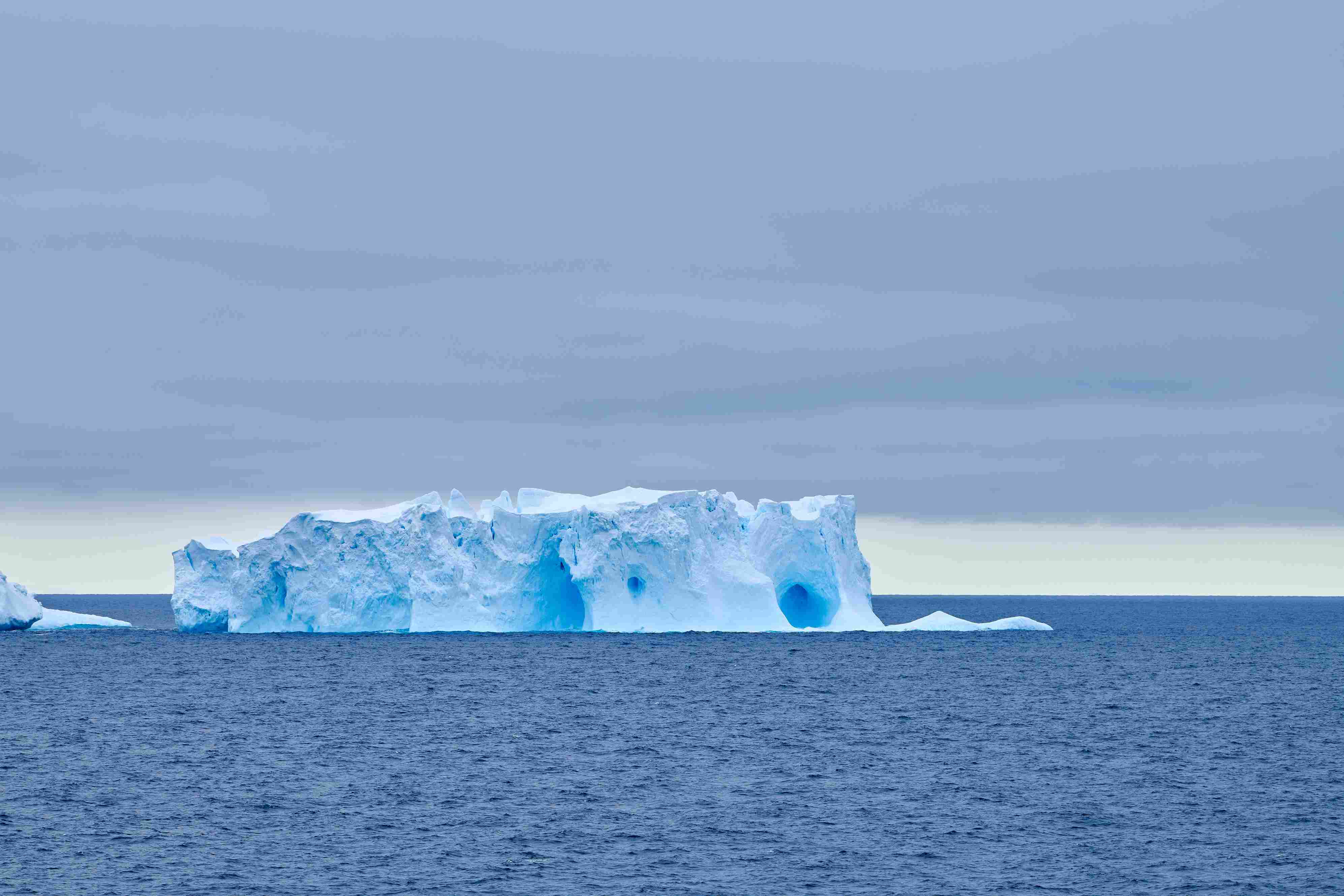 21Dec10h32m55s_Charcot Island��PONANT-MLouagie_LOU_1234.jpg 21Dec10h32m55s_Charcot Island��PONANT-MLouagie_LOU_1234.jpg
