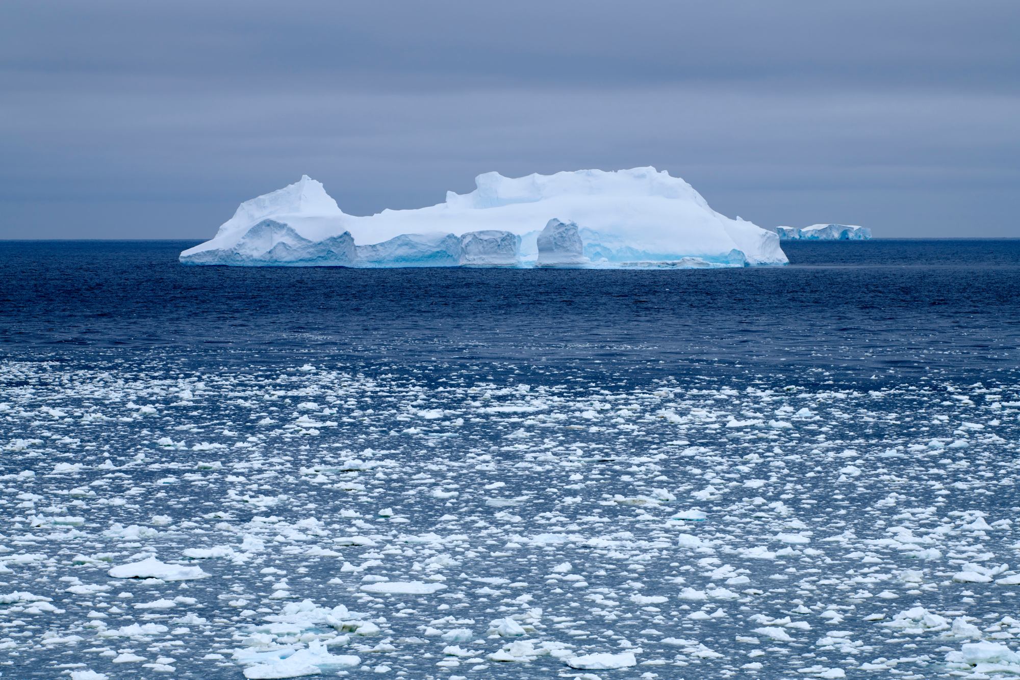 21Dec12h07m00s_Charcot Island��PONANT-MLouagie_LOU_1314.jpg 21Dec12h07m00s_Charcot Island��PONANT-MLouagie_LOU_1314.jpg