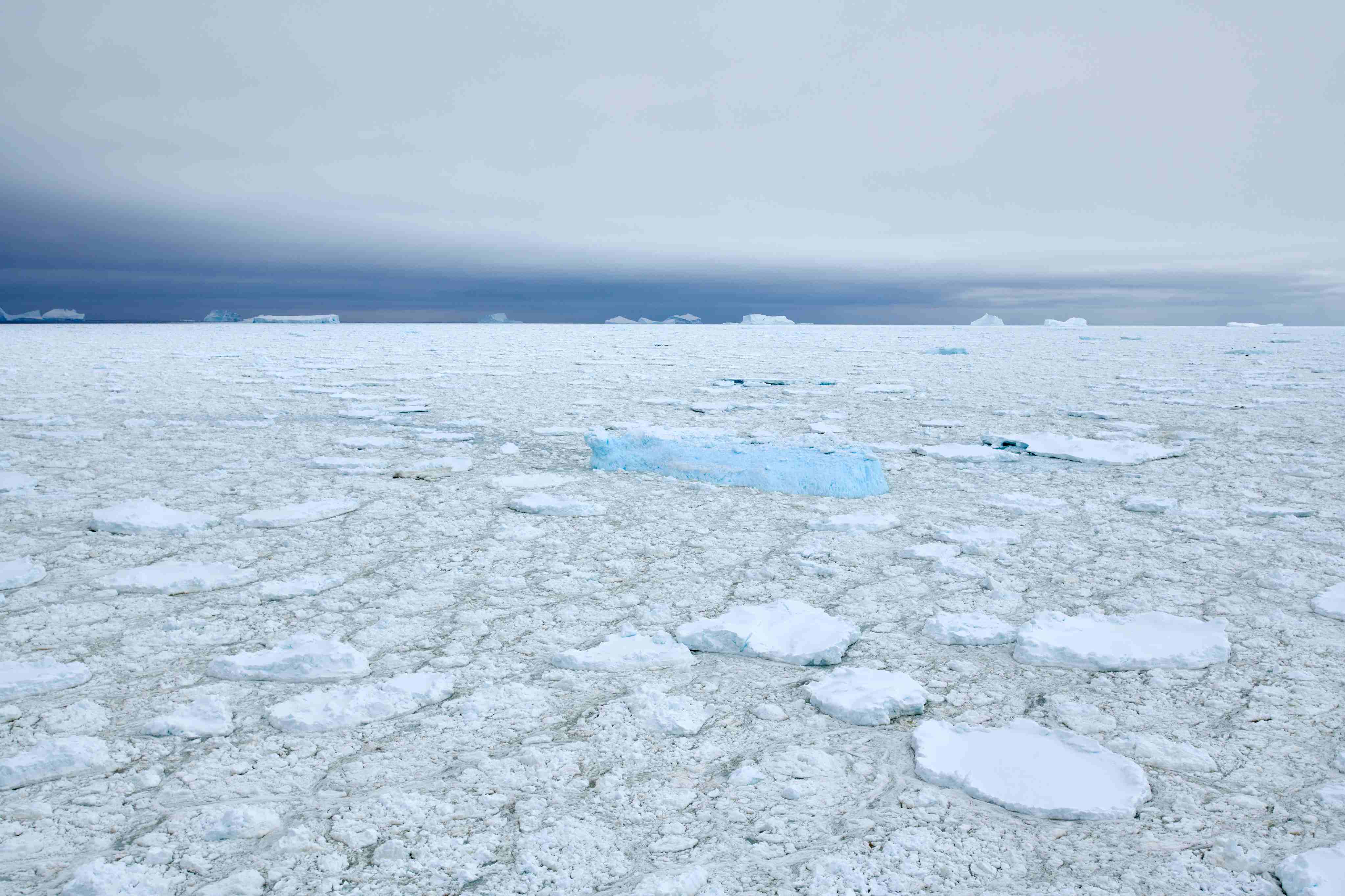 21Dec12h28m50s_Charcot Island��PONANT-MLouagie_MKL_1107.jpg 21Dec12h28m50s_Charcot Island��PONANT-MLouagie_MKL_1107.jpg