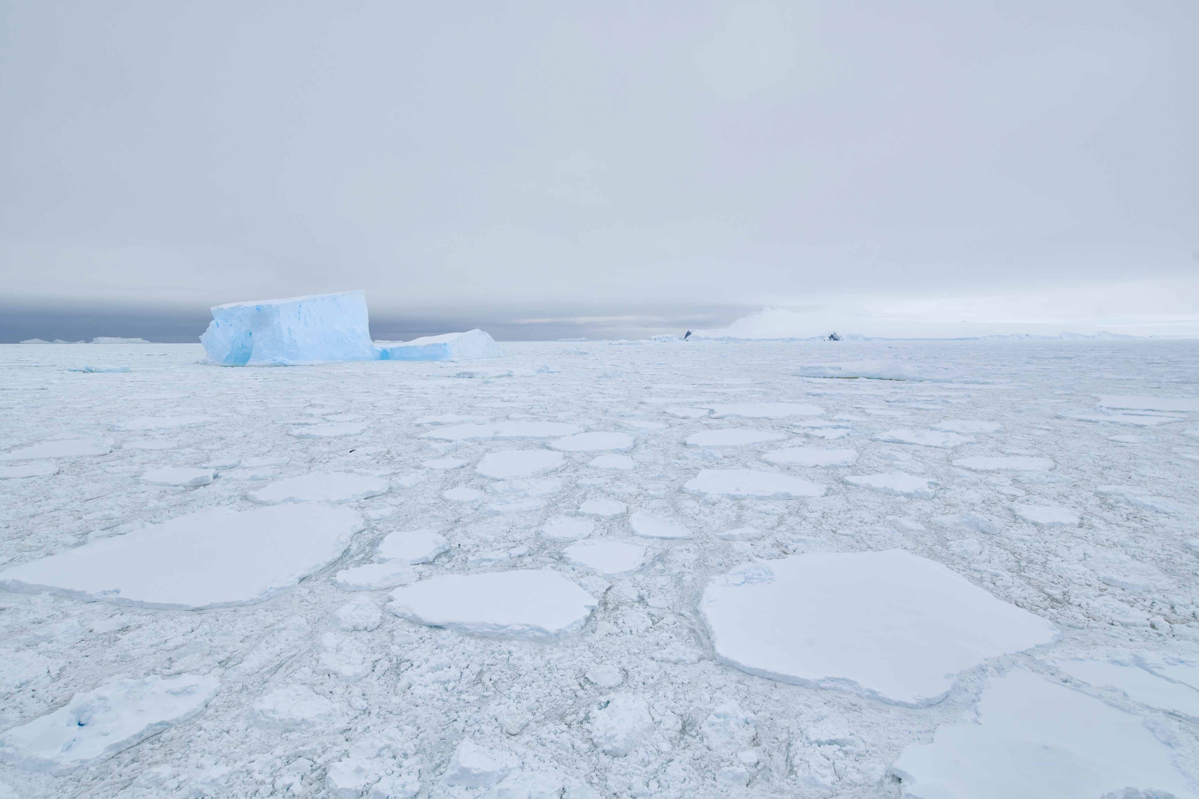 21Dec12h43m02s_Charcot Island��PONANT-MLouagie_MKL_1120.jpg 21Dec12h43m02s_Charcot Island��PONANT-MLouagie_MKL_1120.jpg