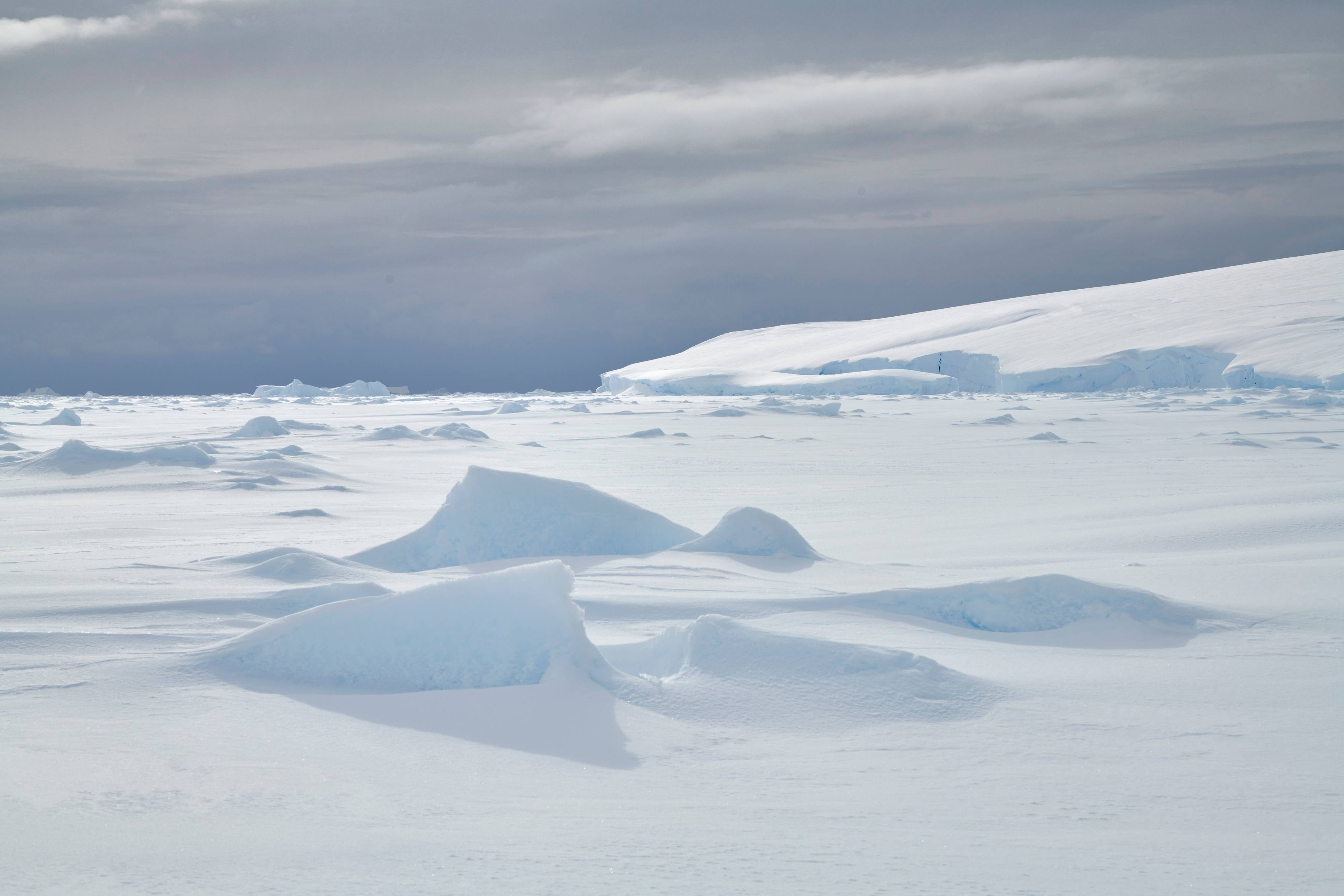 21Dec19h09m44s_Charcot Island��PONANT-MLouagie_LOU_1773.jpg 21Dec19h09m44s_Charcot Island��PONANT-MLouagie_LOU_1773.jpg