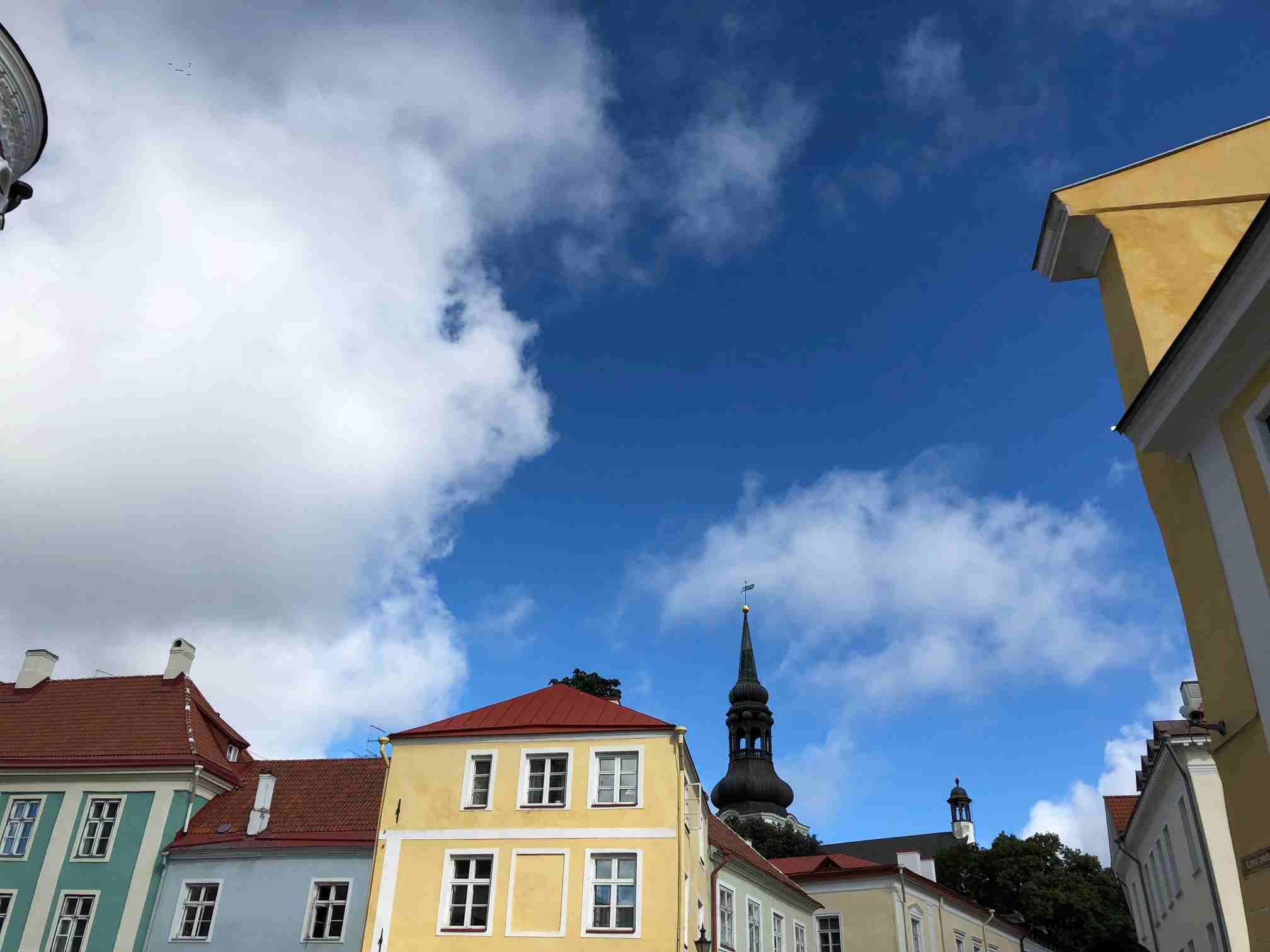 塔林:波罗的海畔凝固的时光诗篇