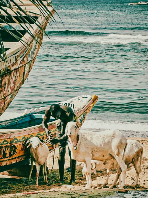 32fe35498d81d07e943e8d9096d4077.jpg 32fe35498d81d07e943e8d9096d4077.jpg