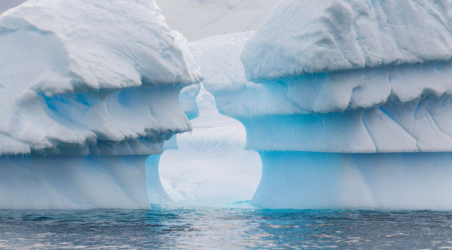 _19A4372 拷贝.jpg _19A4372 拷贝.jpg