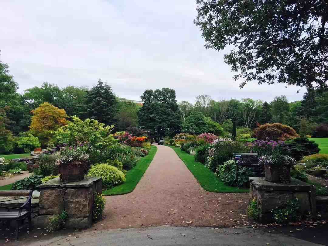 day3-哥德堡植物园.jpg day3-哥德堡植物园.jpg