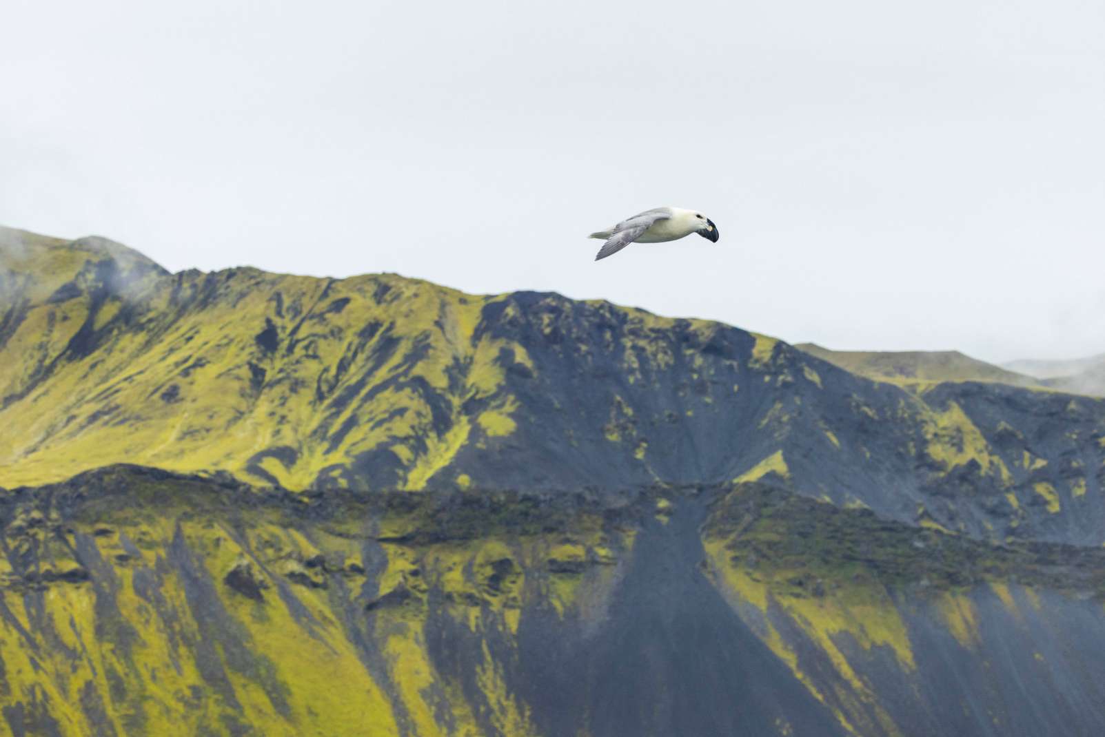 Jan Mayen, Adrian Wlodarczyk-7.jpg Jan Mayen, Adrian Wlodarczyk-7.jpg