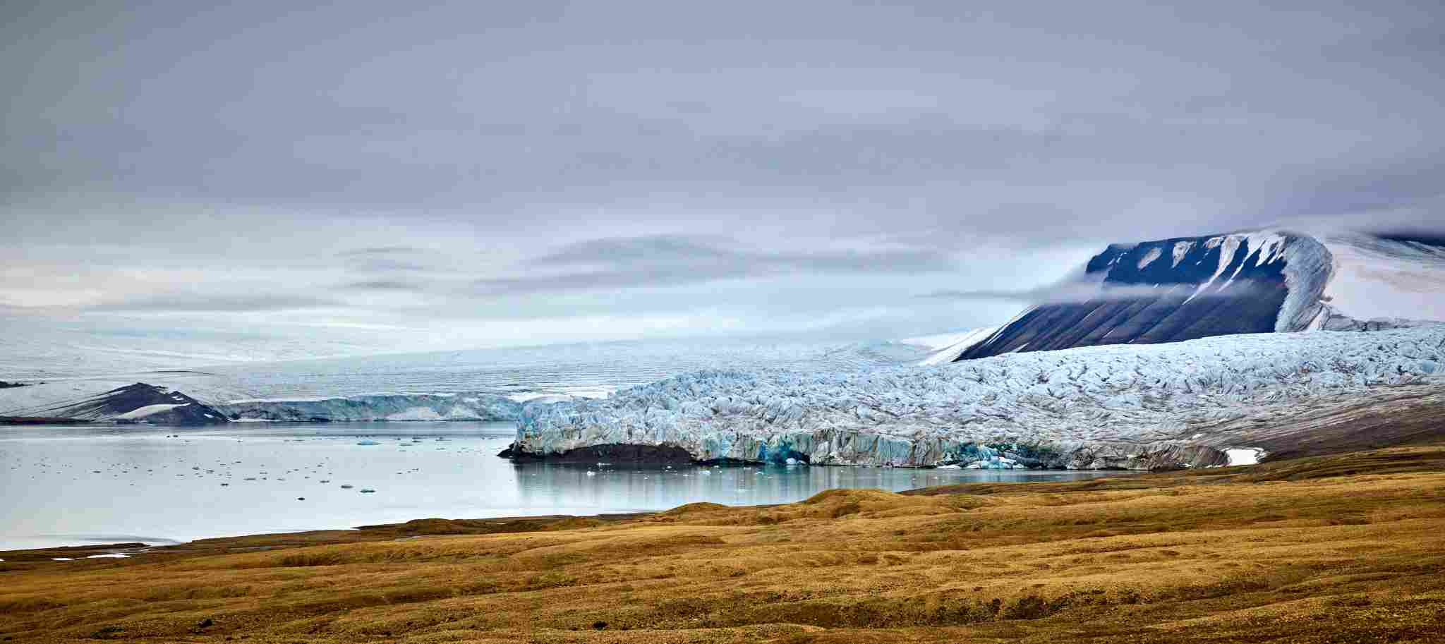 Palanderbukta, Peter Eastway.jpg Palanderbukta, Peter Eastway.jpg