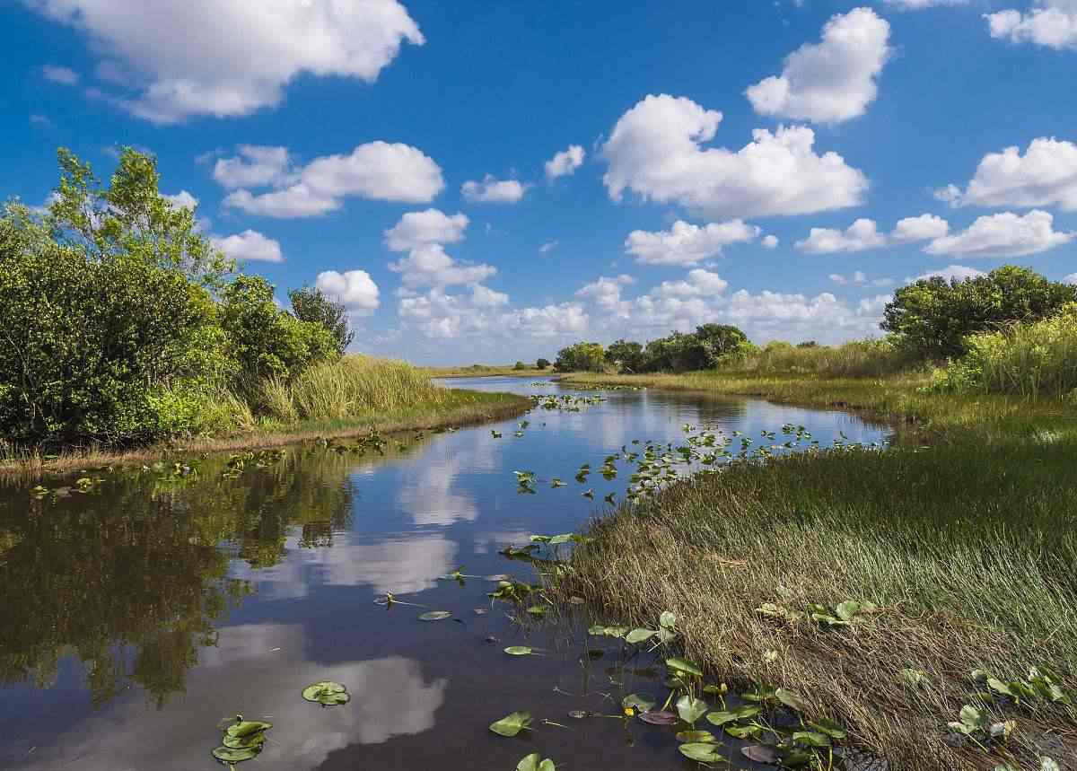 day2-迈阿密大沼泽地游猎公园3.jpg day2-迈阿密大沼泽地游猎公园3.jpg