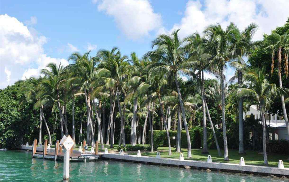 day12-迈阿密棕榈岛.jpg day12-迈阿密棕榈岛.jpg