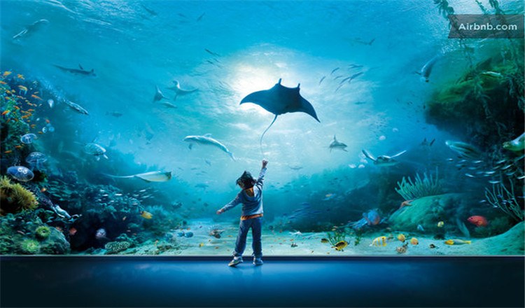 Genoa Aquarium.jpg Genoa Aquarium.jpg