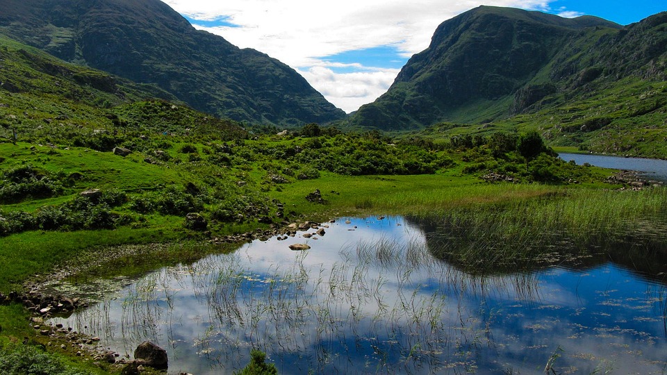 killarney-national-park-6043774_960_720.jpg killarney-national-park-6043774_960_720.jpg