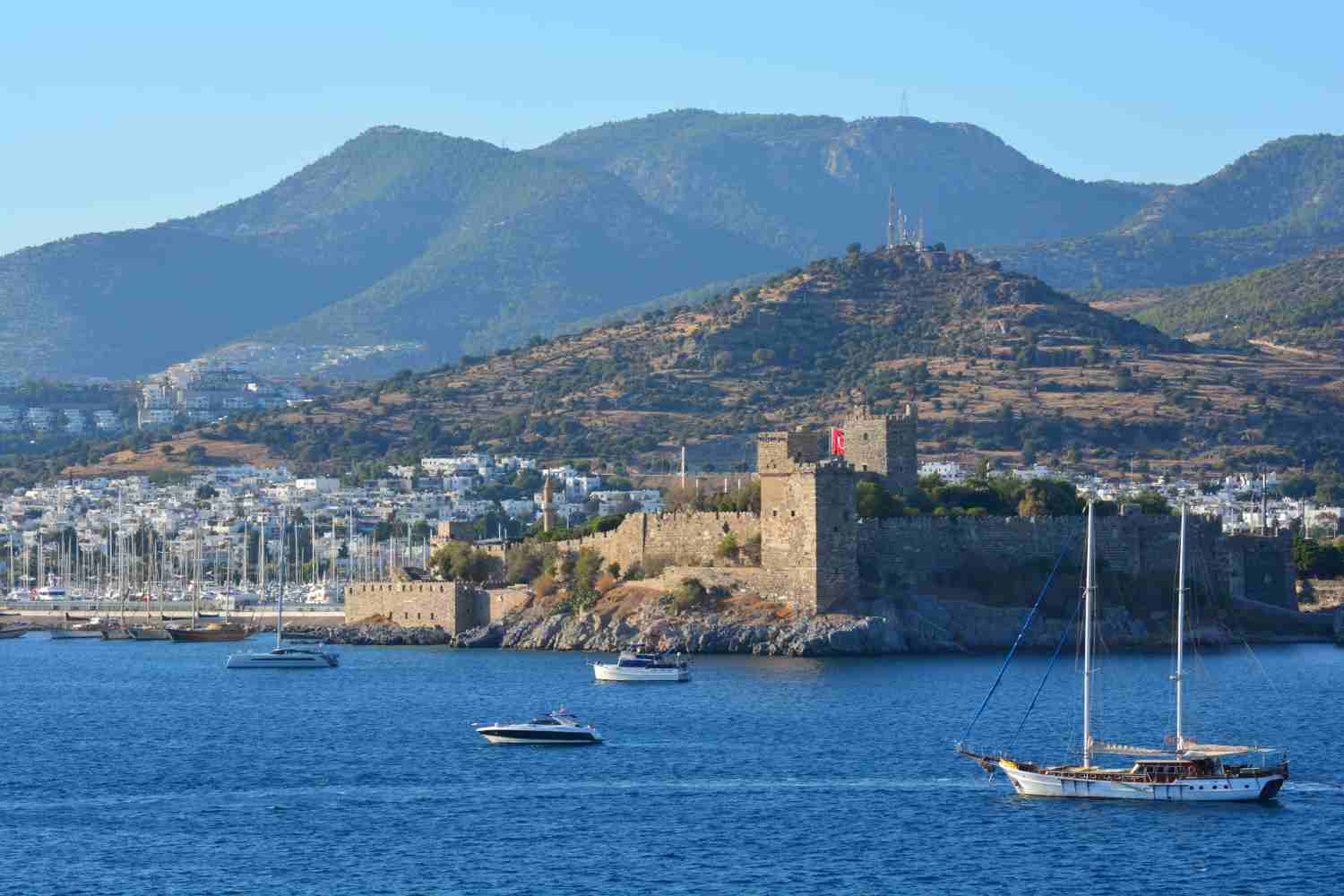 D11博德鲁姆.jpg D11博德鲁姆.jpg