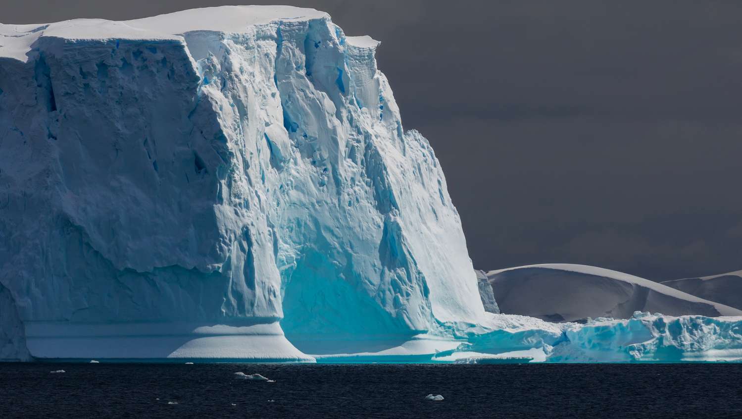 _19A4269s 拷贝.jpg _19A4269s 拷贝.jpg