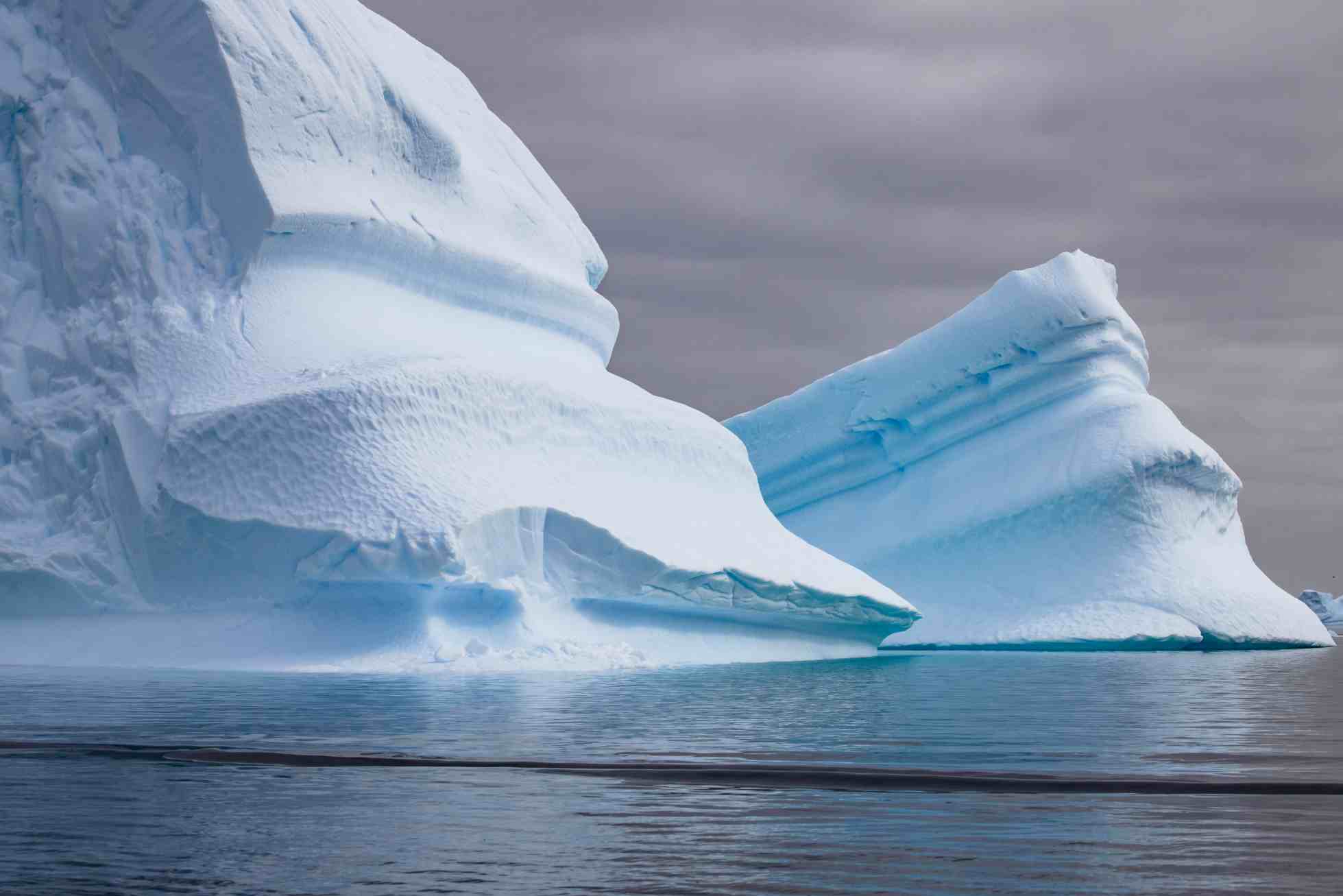 6D7A3538.jpg 6D7A3538.jpg