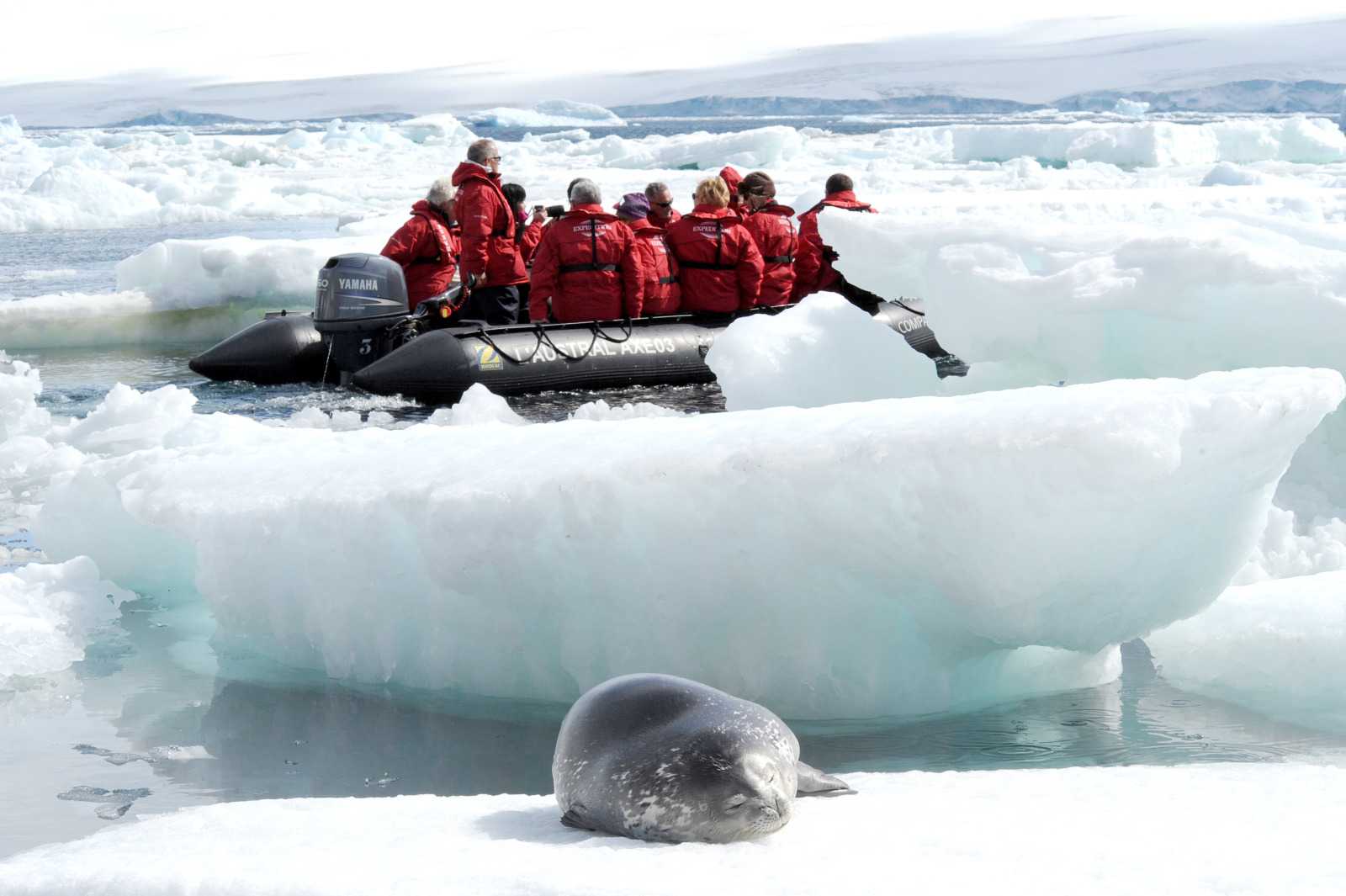 Neko Harbor - 活动.jpg Neko Harbor - 活动.jpg