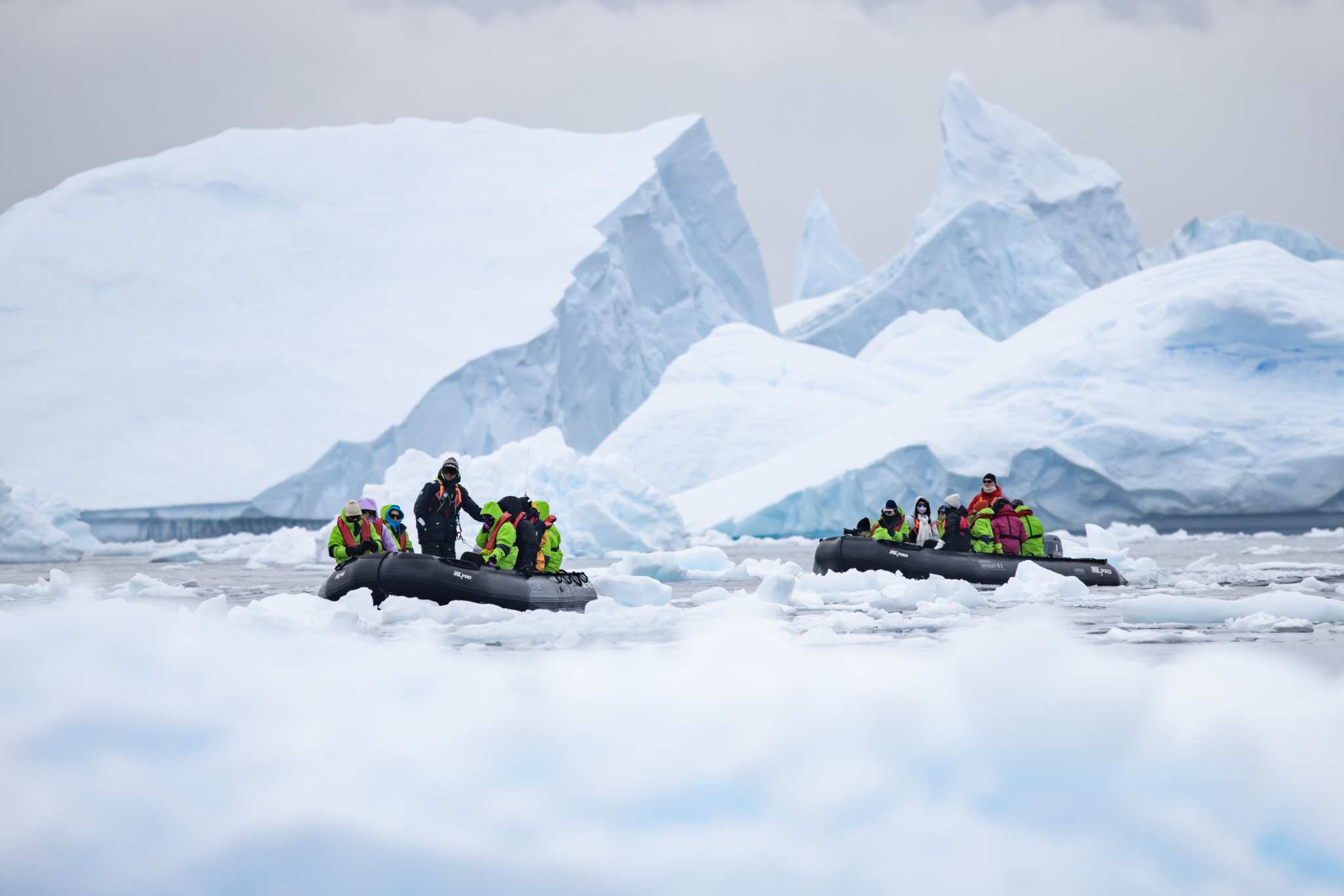 6D7A3648.jpg 6D7A3648.jpg