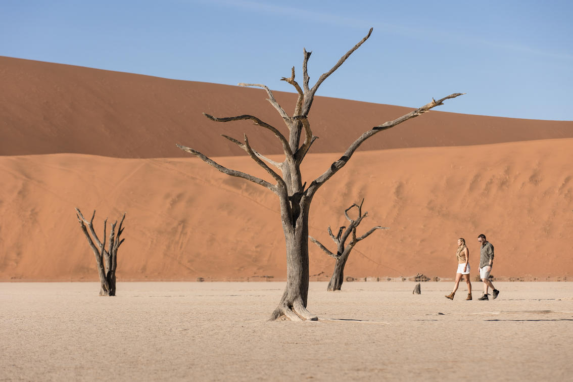1738592251691_KulalaDL_Deadvlei_0724_TC_023.jpg 1738592251691_KulalaDL_Deadvlei_0724_TC_023.jpg