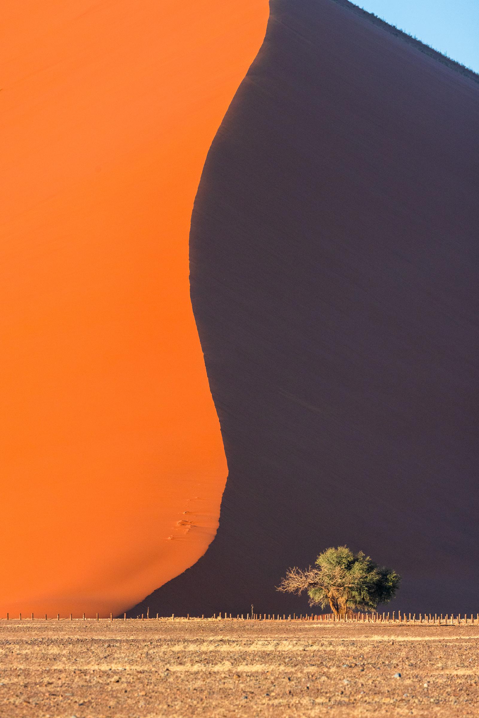 NMBY4086_AI看图.jpg NMBY4086_AI看图.jpg