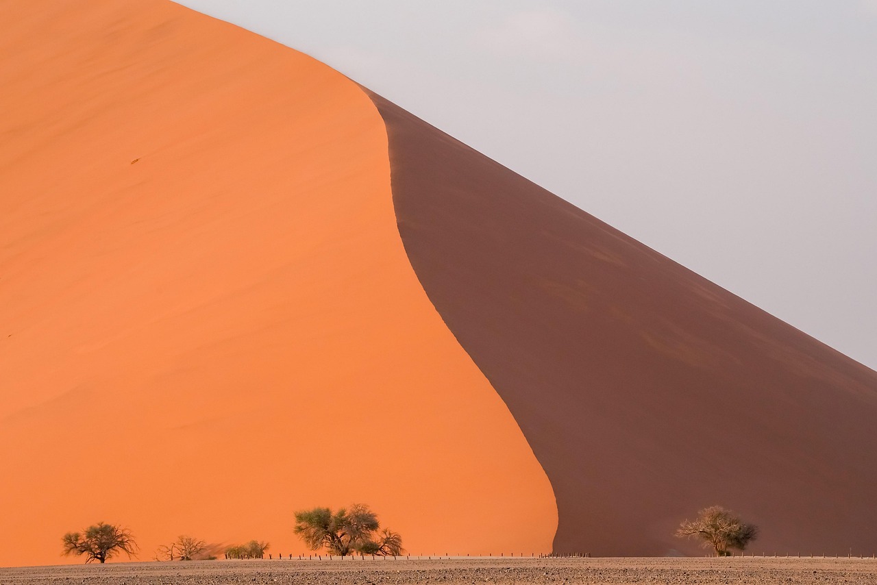 desert-9168592_1280.jpg desert-9168592_1280.jpg