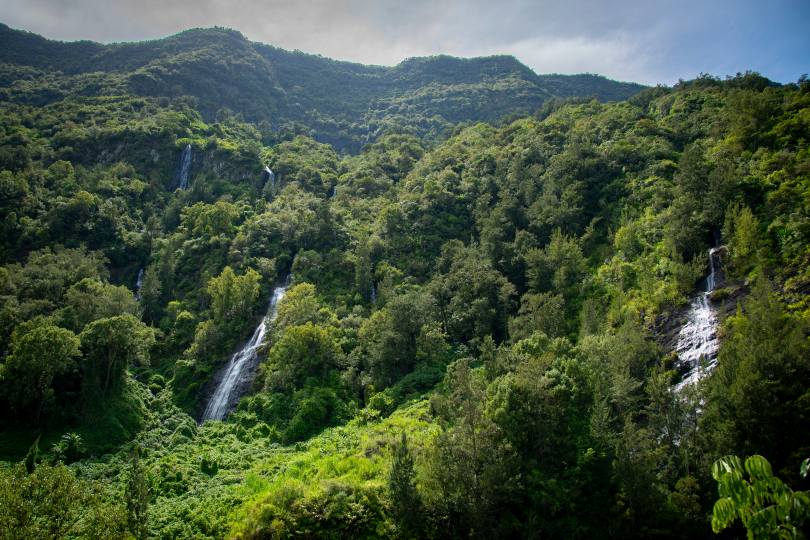 No-2010.jpg No-2010.jpg