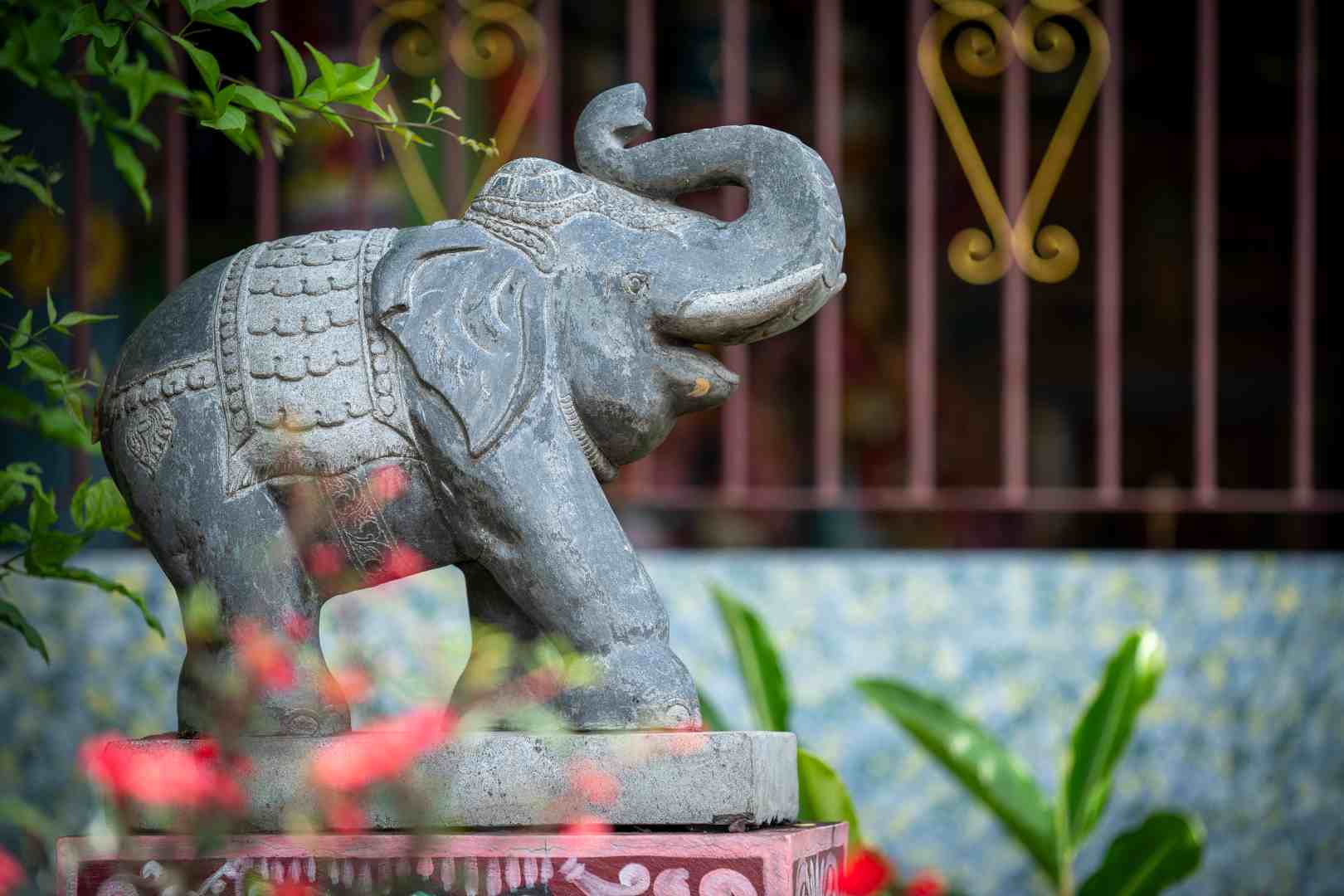 No-2019.jpg No-2019.jpg