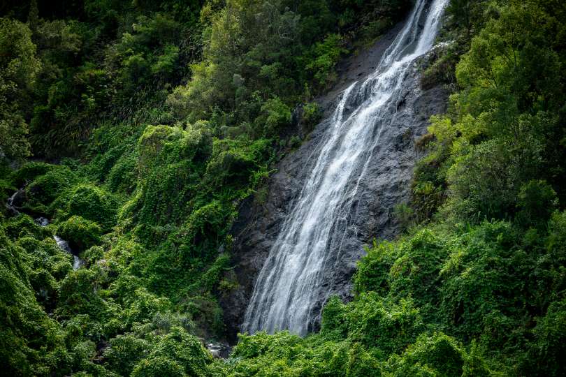 No-2011.jpg No-2011.jpg