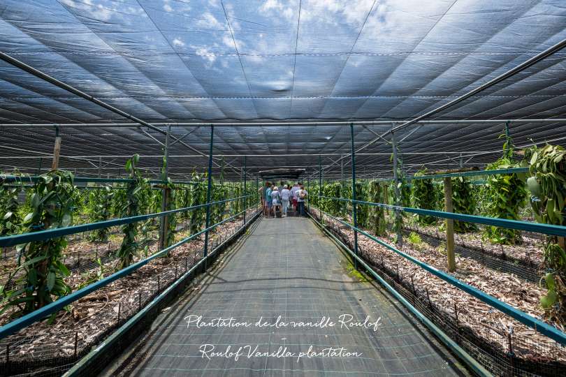 No-2020.jpg No-2020.jpg