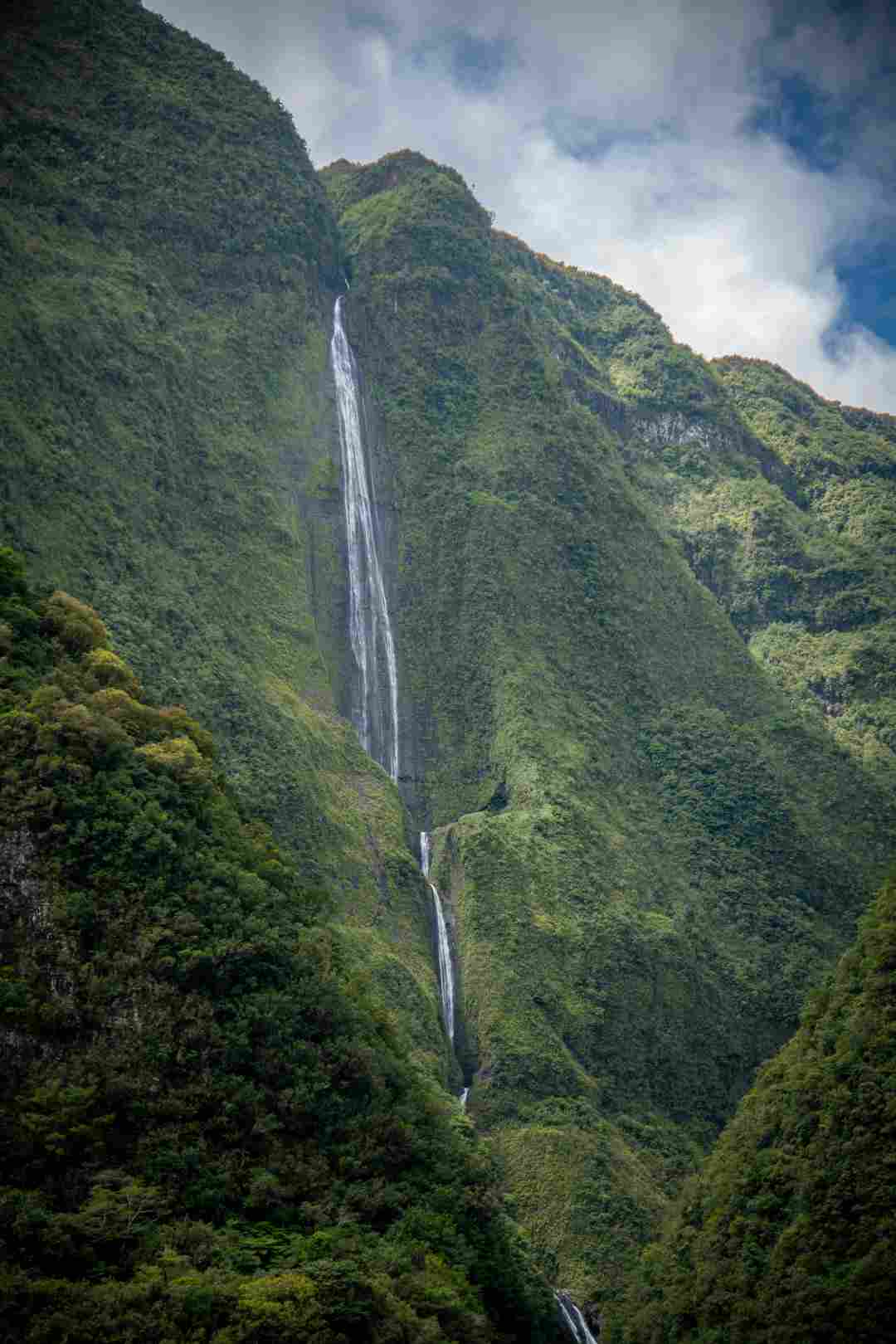 No-2015.jpg No-2015.jpg