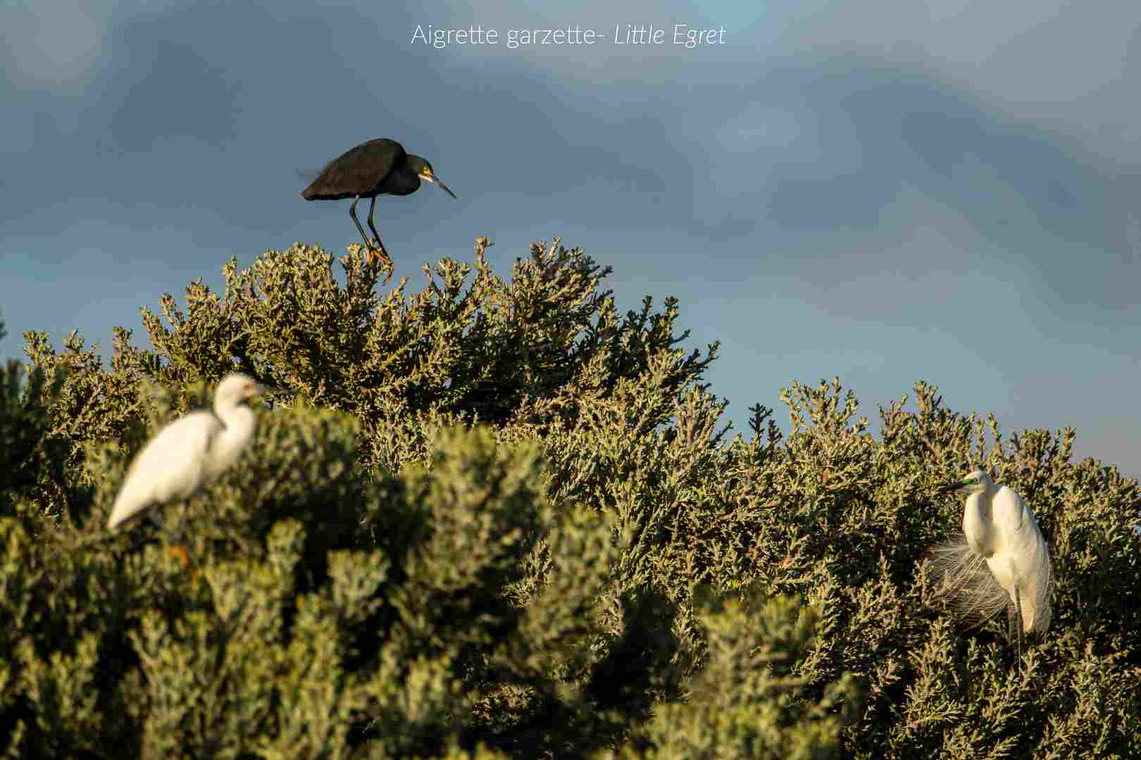  留尼汪：印度洋的炽热明珠