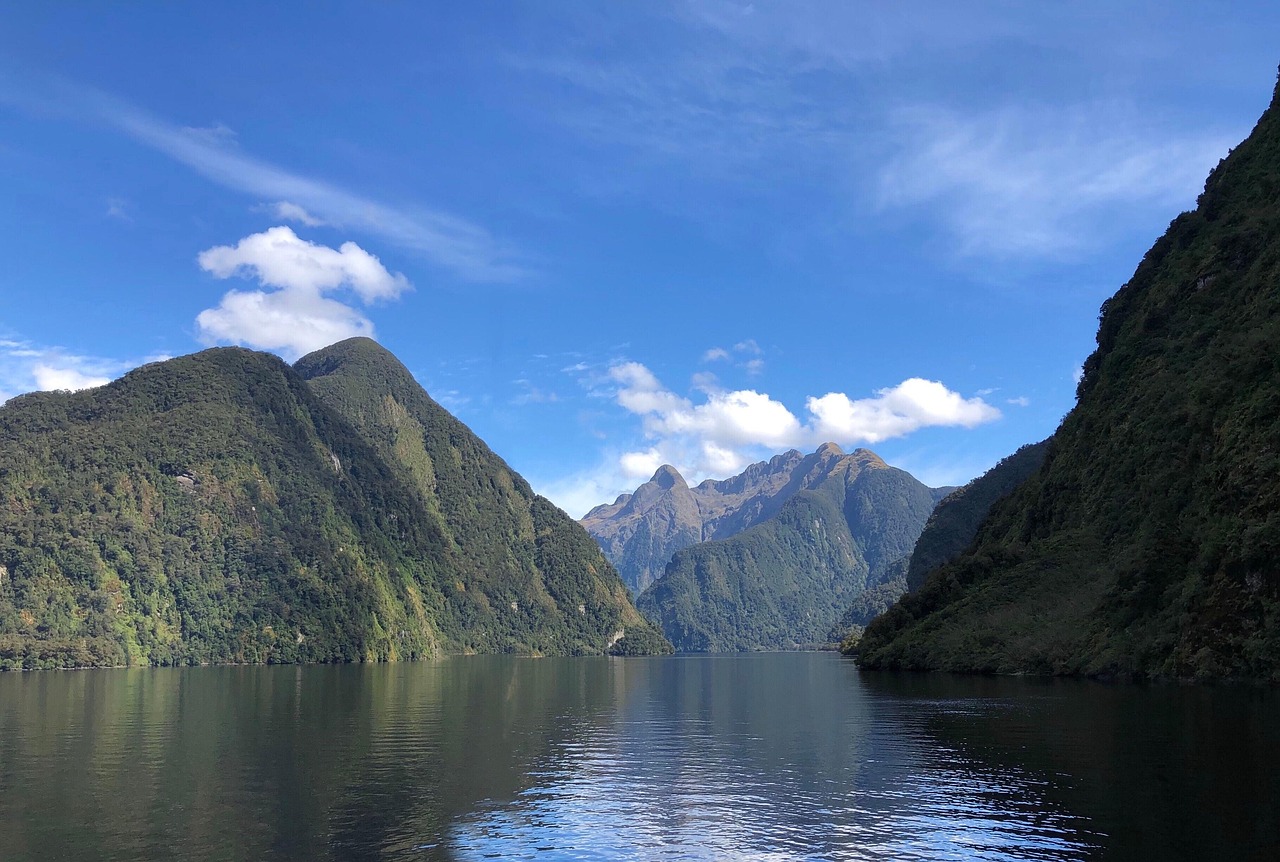 新西兰·神秘峡湾：雨林幽谷中的静谧之境