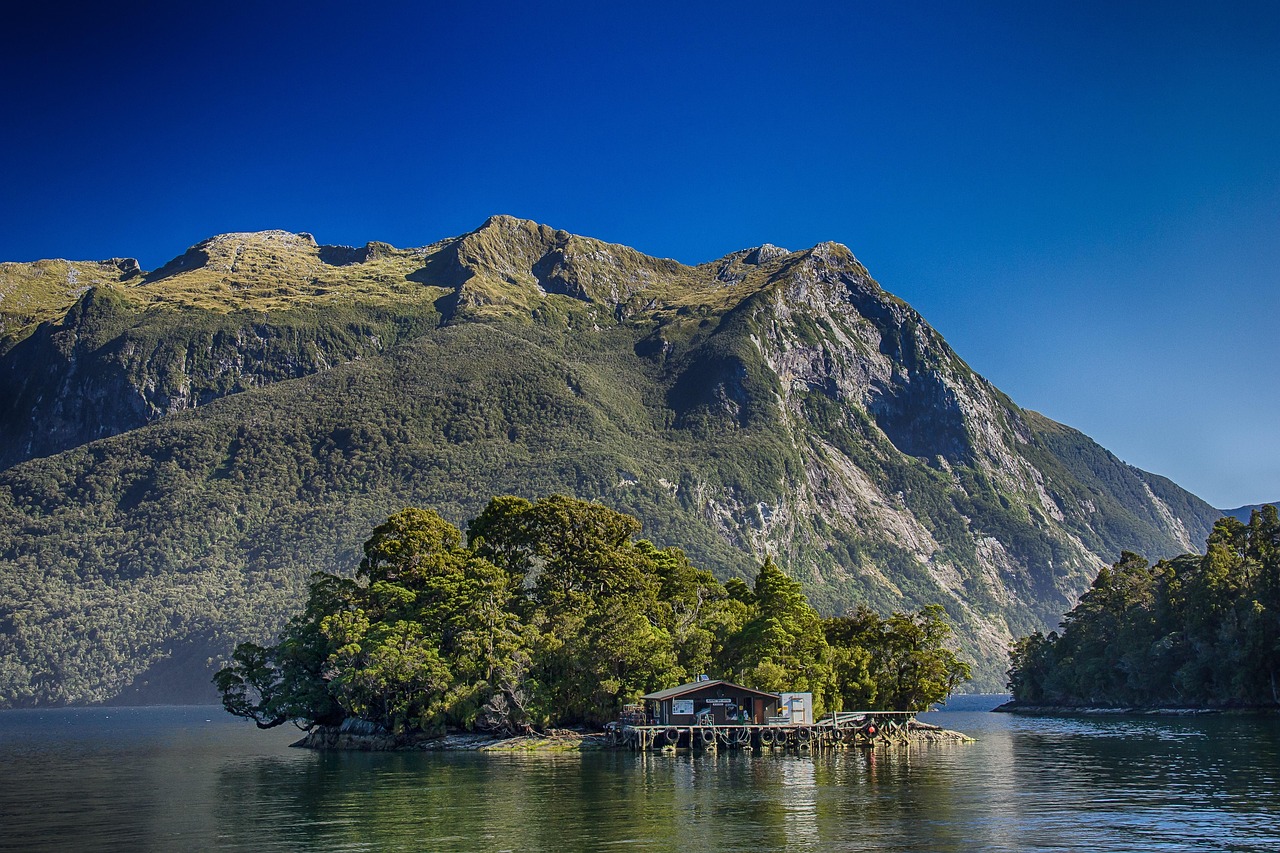 new-zealand-583181_1280.jpg