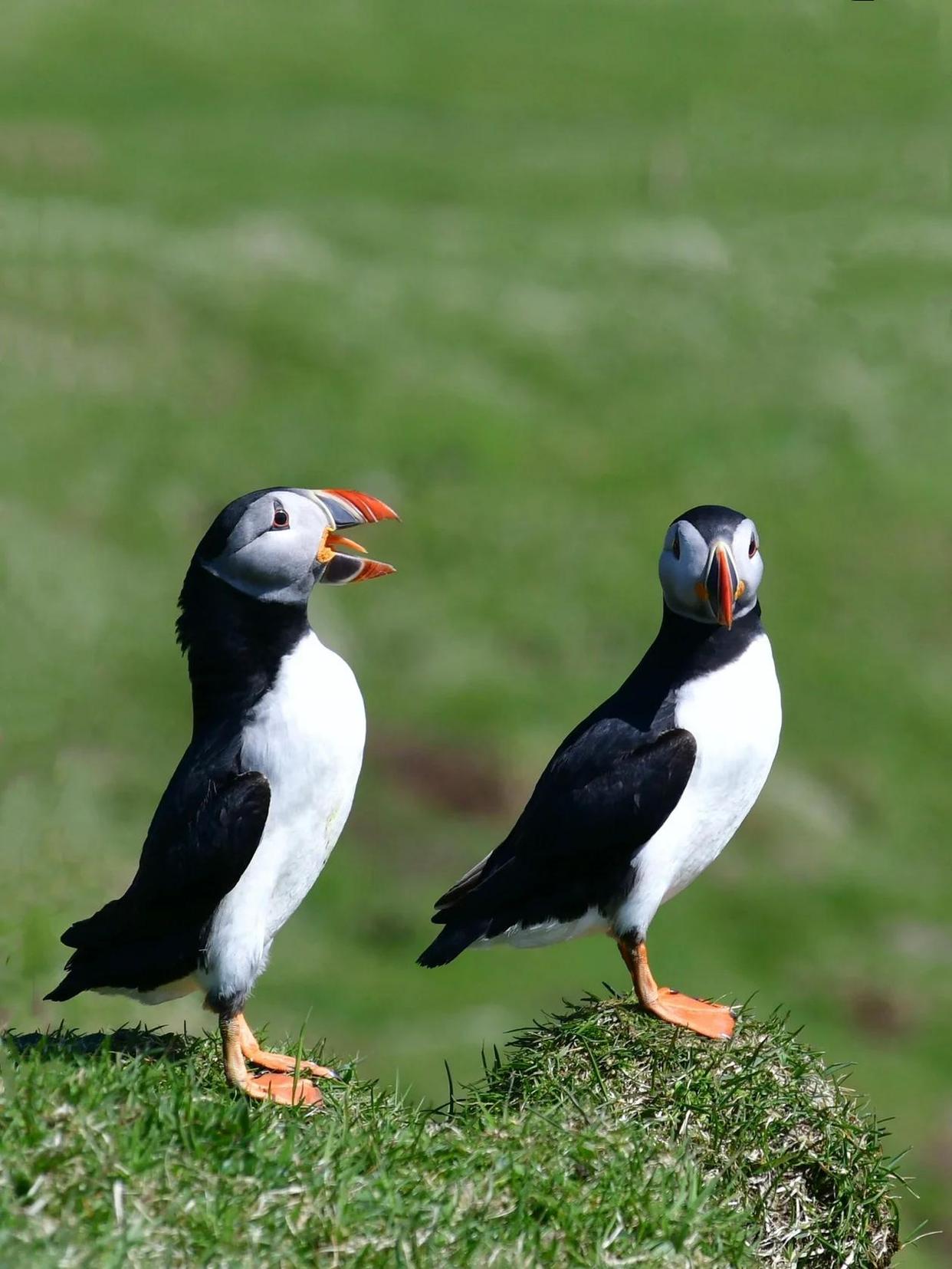 5fdf8db1cb1349542854c976a37de457d1094a18.jpeg 5fdf8db1cb1349542854c976a37de457d1094a18.jpeg