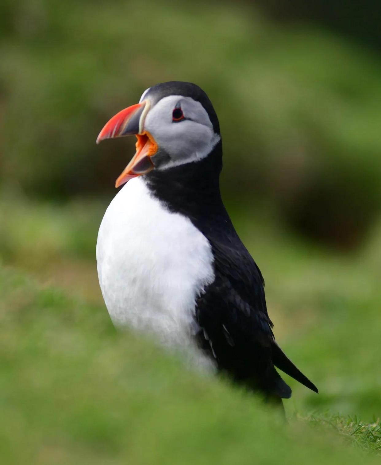 b03533fa828ba61e9370d5d39907e105314e5976.jpeg b03533fa828ba61e9370d5d39907e105314e5976.jpeg