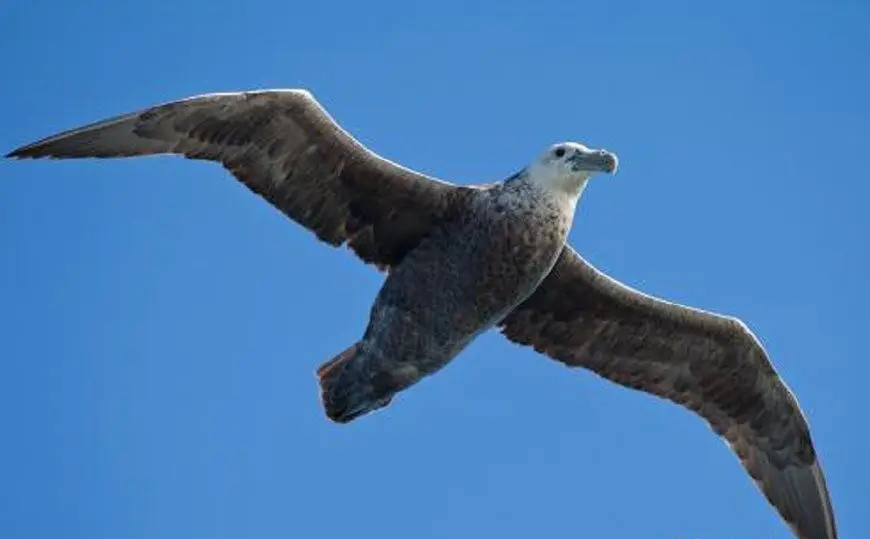 e7d61df209ab40709a0ac19d1b84068b.png e7d61df209ab40709a0ac19d1b84068b.png