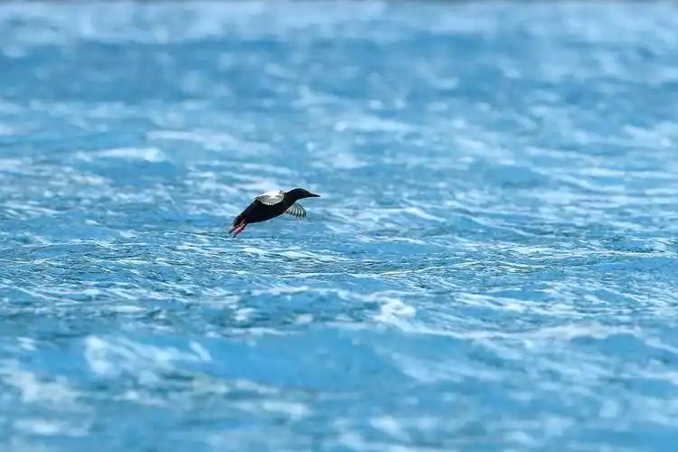 4678c04fde0173693936472c8a4e45b6.jpeg 4678c04fde0173693936472c8a4e45b6.jpeg