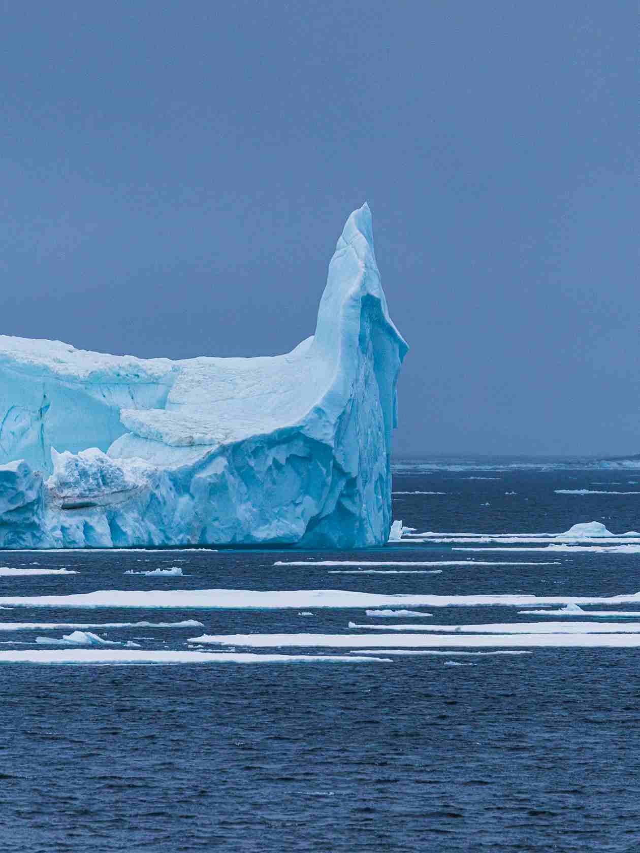 250723P5II2157上网图.jpg 250723P5II2157上网图.jpg