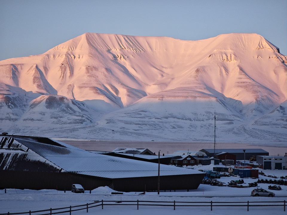 nature-9711766_960_720.jpg