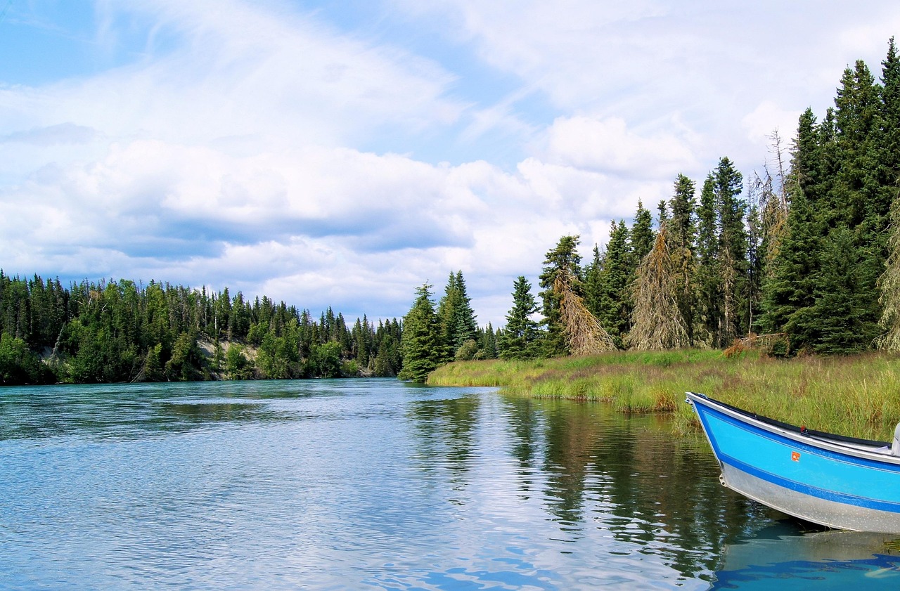 kenai-river-566589_1280.jpg