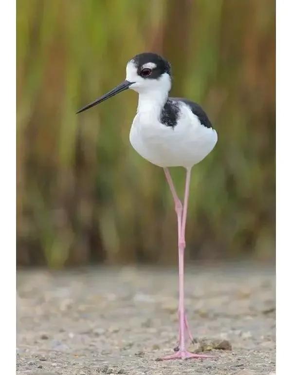 7ee18c6a05944787cb5d9f0ab921b888.jpeg 7ee18c6a05944787cb5d9f0ab921b888.jpeg