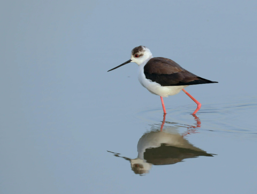 wechat_2025-11-07_172211_528.png wechat_2025-11-07_172211_528.png