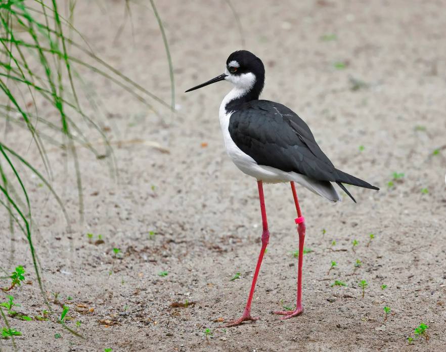 wechat_2025-11-07_172251_624.jpg wechat_2025-11-07_172251_624.jpg