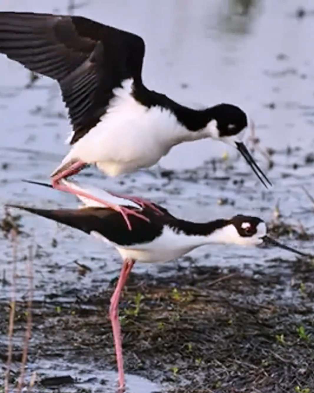 wechat_2025-11-07_172340_837.jpg wechat_2025-11-07_172340_837.jpg