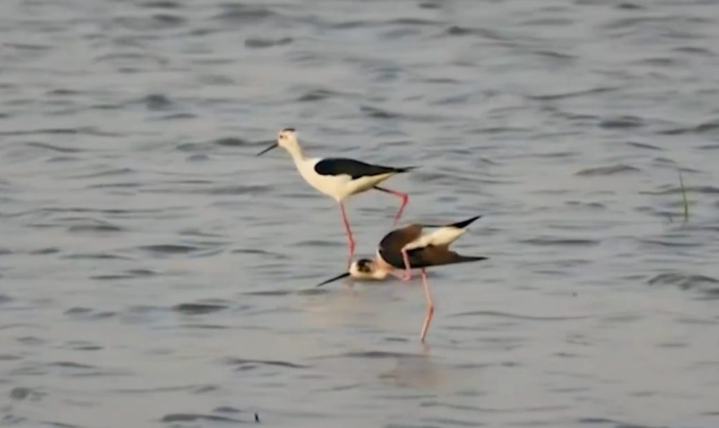 wechat_2025-11-07_172548_989.png wechat_2025-11-07_172548_989.png