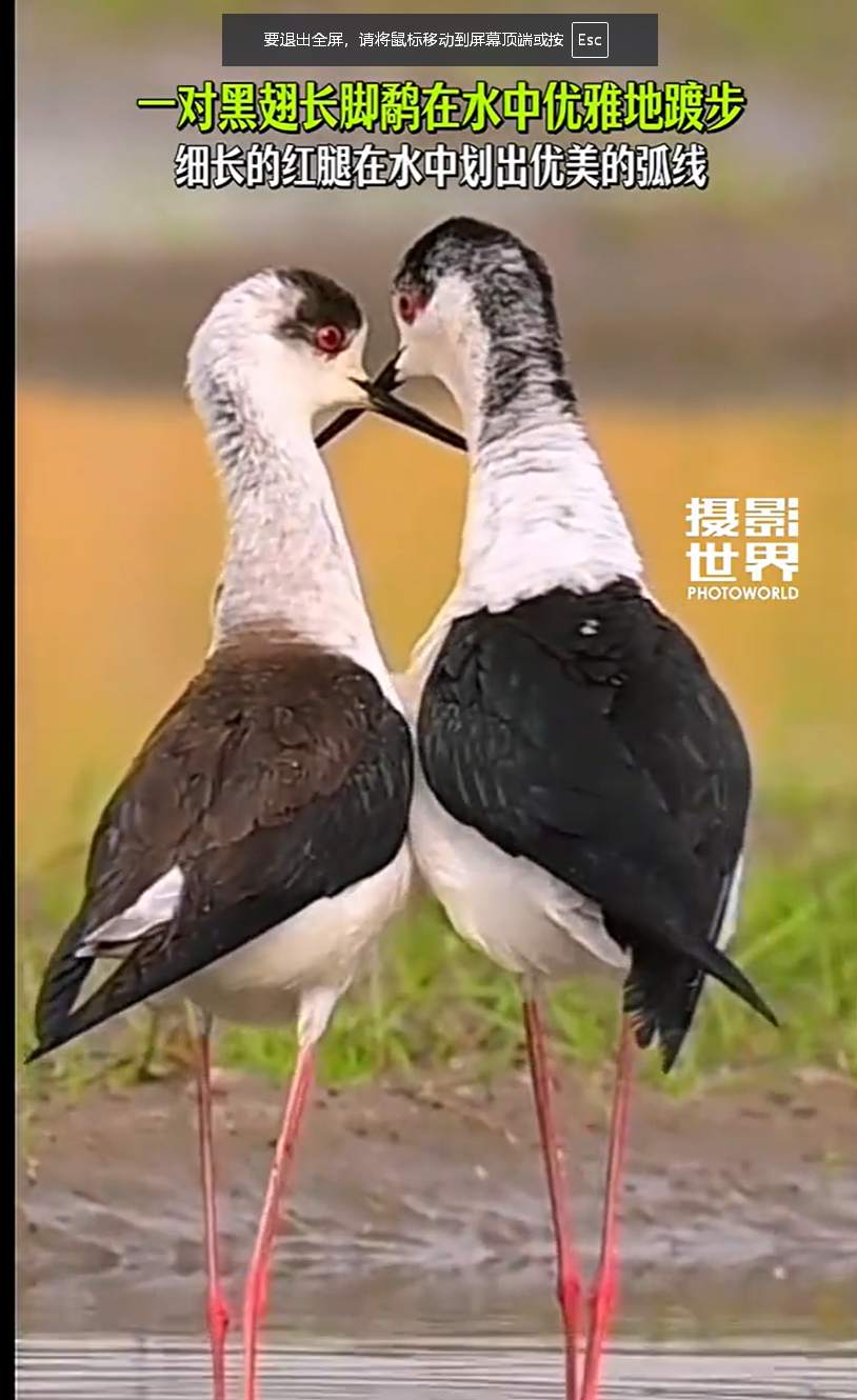 wechat_2025-11-07_172617_353.jpg wechat_2025-11-07_172617_353.jpg