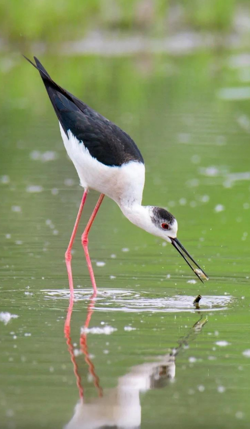 wechat_2025-11-07_172649_372.png wechat_2025-11-07_172649_372.png