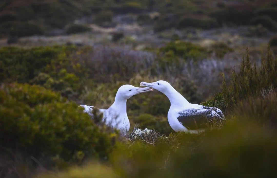 8bac35343cbd5955656dbb9bc9b50987.jpeg 8bac35343cbd5955656dbb9bc9b50987.jpeg